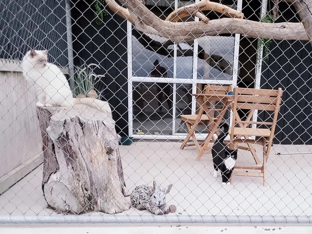 Stoney Peak Pet Lodge