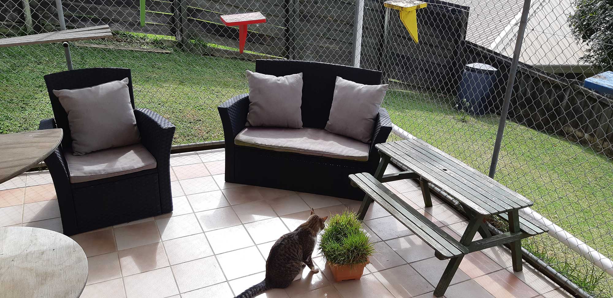 Paws a While Boarding Cattery