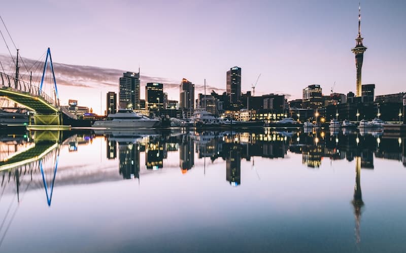 Catteries in Auckland