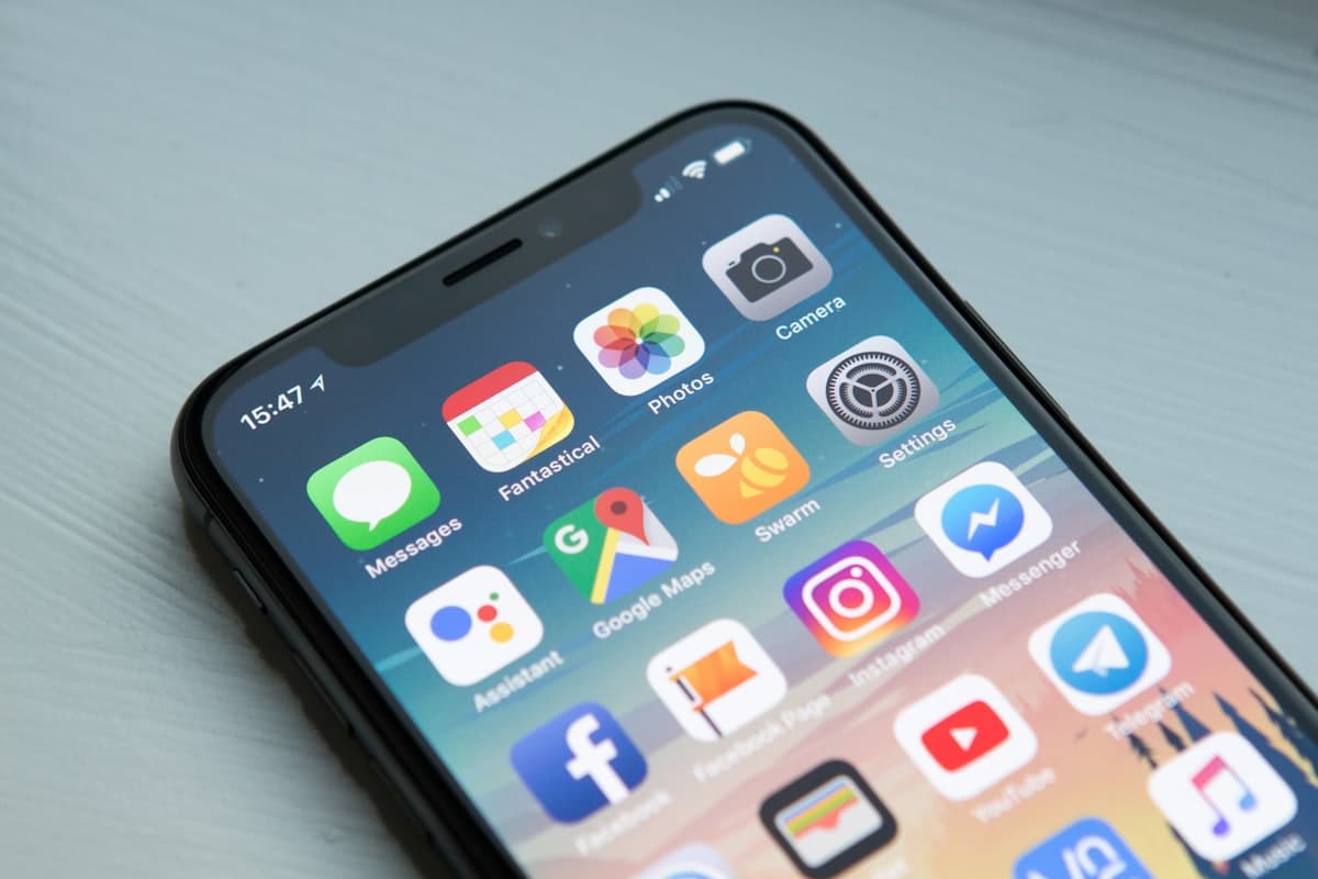 Staying Connected: Video Calls and Updates While Your Cat is Boarding in NZ
