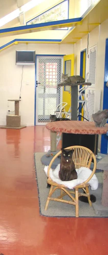 Purrville Cat Hotel